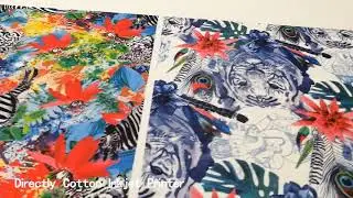 Textile Printer for Cotton Printing Machine Fabric/Garment Printer