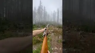 Steyr M95, Fix Bayonets #shorts