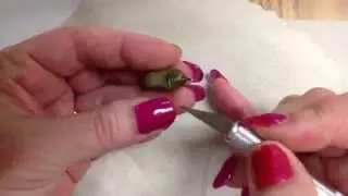Dissecting a dead chrysalis (patron spots available)