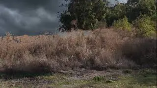 VFX On Adobe Premiere Pro