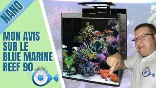 Mon avis sur le Blue Marine Reef 90 un super Aquarium
