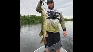 Monster Adventures TV- Everything But Bass