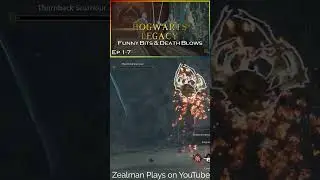 Highlights and Funnies from the early Hogwarts Legacy videos. #hogwartslegacy