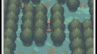 Pokemon Soul Silver Parte 11 Il Bosco Lecci
