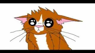 cute kitten exploding! (for CuteThingsExploding)