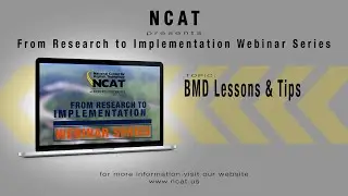 BMD Lessons & Tips