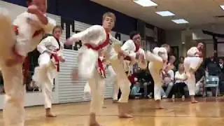 TANG SOO KARATE ACADEMY BLACK BELT TEST 1ST DAN 040718