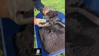 How to level bumps in your yard or lawn. Easy lawncare idea for you. Love, Dad #DadAdvice #LawnCare