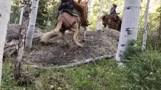 Extreme Mule Riding- Pack Trip Edition