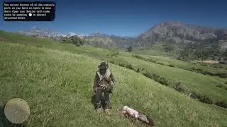 Red Dead Redemption 2 