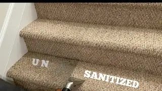 This Carpet Cleaning Will Make You STARE 👀 At These STAIRS: ASMR
