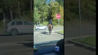 Headless horseman real life