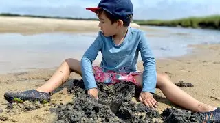 Exploring Tidal Pools in Cape Cod