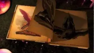 Tomorrowland 2011 Introduction