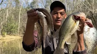 Pesca de lobinas en r&iacute;o de Carolina del norte ( lick creek)