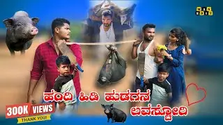 ಹಂದಿ ಹಿಡಿ ಹುಡುಗನ ಲವ್ ಸ್ಟೋರಿ Handi hide hudagan love story