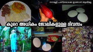 ചെറുതായിട്ട് ഒക്കെ നമ്മളും തുടങ്ങാം ട്ടോ നനച്ചുളി പരിപാടി/പച്ചരി ഉണക്കൽ#cooking #housewifelife#food 