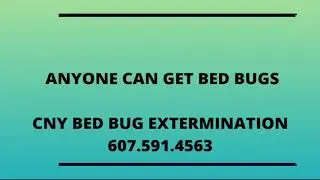 Don't be embarrassed about Bed Bugs!