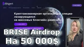 Обзор на проект Bitgert Программа ставок BRISE Revenue Sharing с доходностью APY 80% !! AirDrop !!