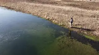 Fly Fishing in Viroqua, WI