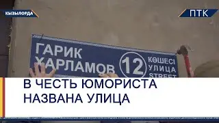 В честь юмориста названа улица