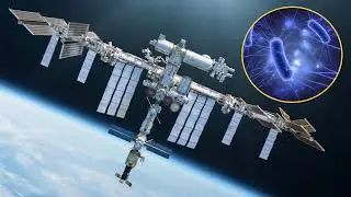 Space-Evolved Viruses Show Increased Killing Power on Earth