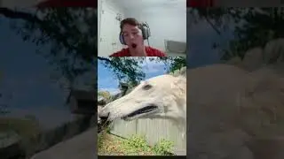Они совсем на меня не похожи 😭
