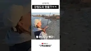 #shorts 해변에서 이런 대물이 나온다고?! #낚시 #fishing