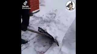 FUNNIEST ANIMALS 2023 FUNNY CAT AND KITTY FUNNY ANIMAL VIDEO 2023