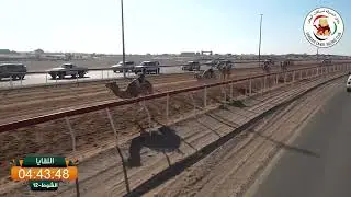 ميــدان الذيد - ش 12 اللقايا 18/01/2026 بدران لـ ناصر علي سعيد عبيد قابض الطنيجي.  التوقيت: 7:44:82