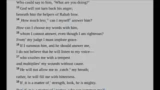 Day 27 (Jan 28):Job 8-10, Matthew 19:16-30, Proverbs 3:11-20