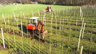Throwing appletree roots out with my Pel Job LS2000