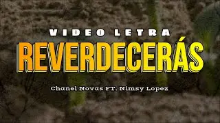 CHANEL NOVAS - REVERDECER&Aacute;S LETRA (FT. NIMSY LOPEZ)