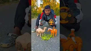 Remote control 2 camel and 2 horse unboxing 😀