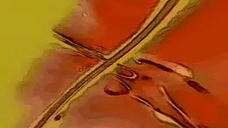 'Ambient Music by an Over-Anxious Composer': Experimental Music and Video