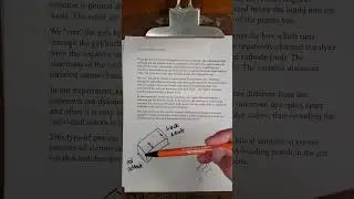 gel electrophoresis of dyes | Gen Bio 1 low tech tutorials