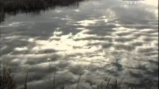 Cela prica o kradji peska u opstini Plandiste
