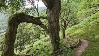 8K Black mountains going down to Llanthony village 28th of June 2025