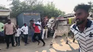 2వ జత | న్యూ జూనియర్స్ రాష్ట్రస్థాయి పోలురాదా విభాగం ఉలిచి గ్రామం