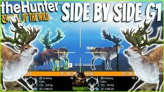 Hunting SIDE BY SIDE Great One Red Deer! The Hunter Call of the wild