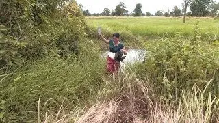 Hunting of wild ducks on the river for food (My life)