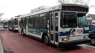 MTA: 2007 Orion VII 07.501 Gen-2+ OG Hybrid [3614]/[3653]/[3711]/[3743] Q11, NIS buses
