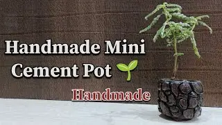 Handmade Mini Cement Pot 🌱 | Cement Pot Mein Plant Kaise Lagaye | Mini Gardening