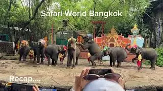 Safari World || Jungle Safari || Bangkok 😱