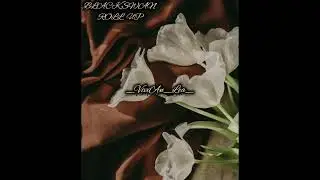 BLACKSWAN - ROLL UP | SPEED UP | FULL AUDIO