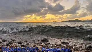 TALAHAULOGO : Puleaga Hau