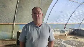 A technological package to culture marine shrimp in high stocking densities - Prof. Dr. Wasielesky