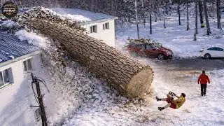 Idiots With Chainsaws: Tree Cutting Fails | Extreme Dangerous Logging Truck Fails #22