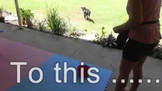 learn to retrieve