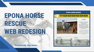 Web Site Design Consultation - Epona Horse Rescue
